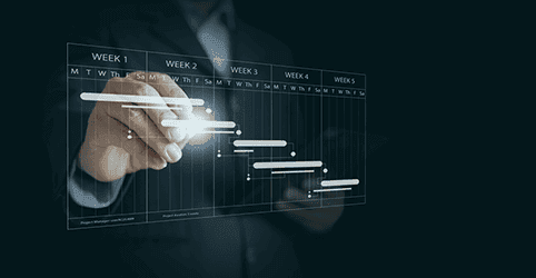 Scope and deliverables